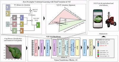 Zero-exemplar deep continual learning for crop disease recognition: a study of total variation attention regularization in vision transformers